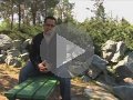 الوحدة الوطنية