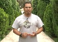 جواز الصغار