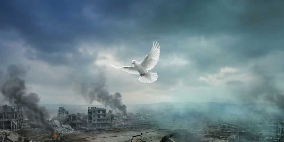 صورة تحتوى على منطقة خربة وحمامة