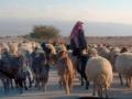 أركان العلاقة السليمة مع الله - مزمور 23
