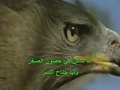 أنا ساكن في حصون الصخر
